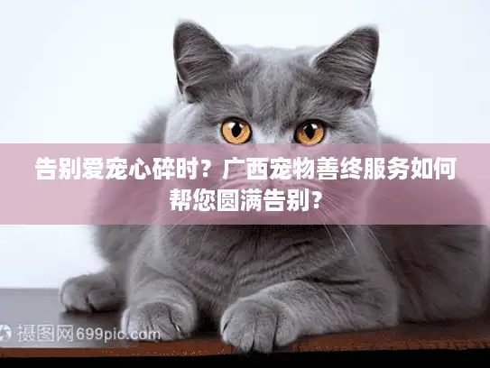 告别爱宠心碎时？广西宠物善终服务如何帮您圆满告别？