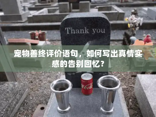 宠物善终评价语句，如何写出真情实感的告别回忆？