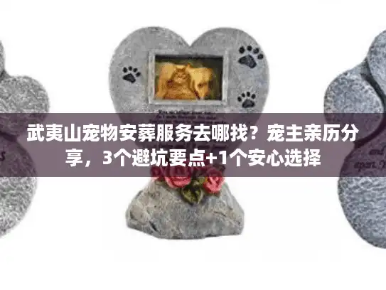 武夷山宠物安葬服务去哪找？宠主亲历分享，3个避坑要点+1个安心选择