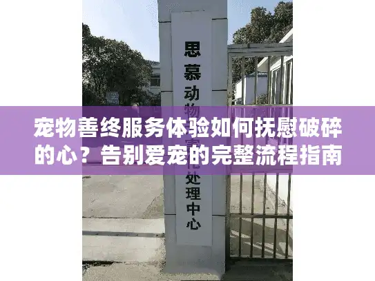 宠物善终服务体验如何抚慰破碎的心？告别爱宠的完整流程指南