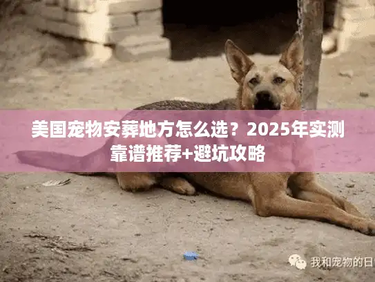 美国宠物安葬地方怎么选？2025年实测靠谱推荐+避坑攻略