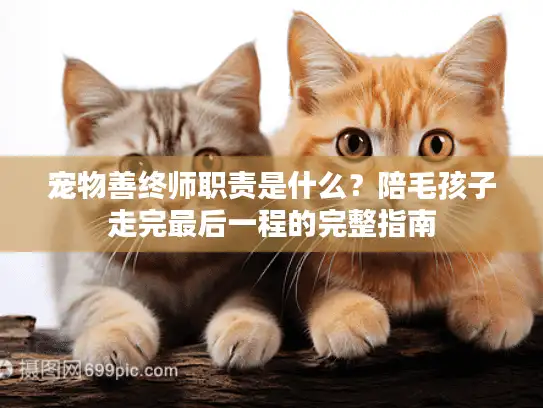 宠物善终师职责是什么？陪毛孩子走完最后一程的完整指南