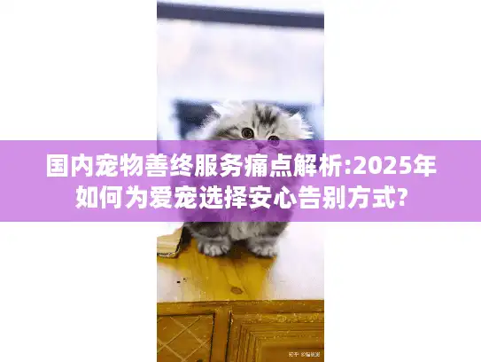 国内宠物善终服务痛点解析:2025年如何为爱宠选择安心告别方式?