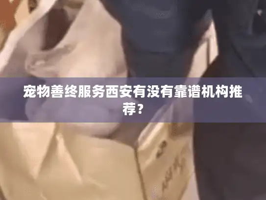 宠物善终服务西安有没有靠谱机构推荐？