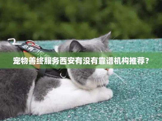 宠物善终服务西安有没有靠谱机构推荐？