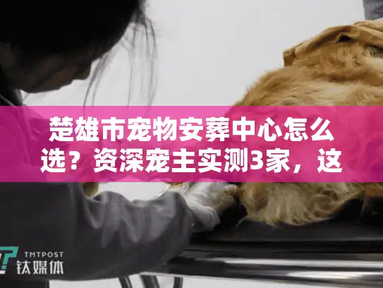 楚雄市宠物安葬中心怎么选？资深宠主实测3家，这几点最该注意！