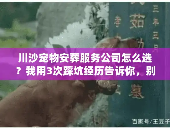 川沙宠物安葬服务公司怎么选？我用3次踩坑经历告诉你，别让最后一次变成遗憾