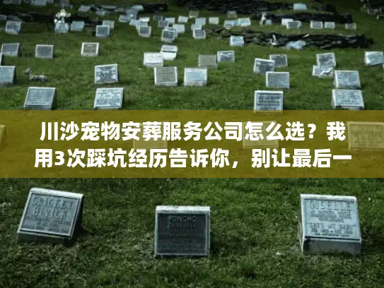 川沙宠物安葬服务公司怎么选？我用3次踩坑经历告诉你，别让最后一次变成遗憾
