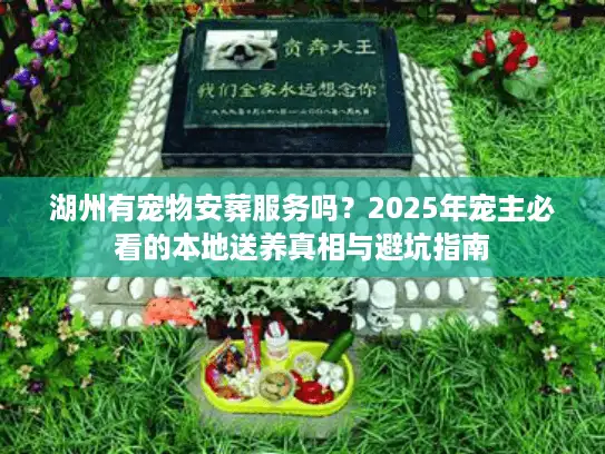 湖州有宠物安葬服务吗？2025年宠主必看的本地送养真相与避坑指南