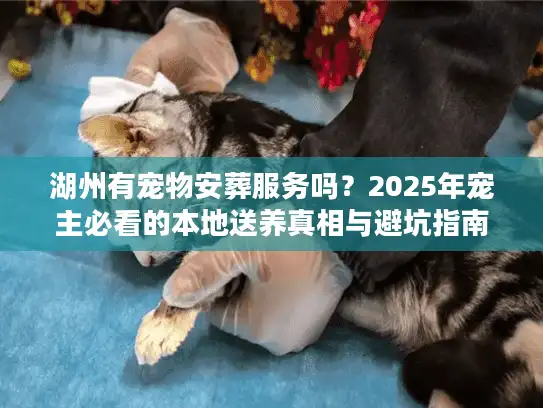 湖州有宠物安葬服务吗？2025年宠主必看的本地送养真相与避坑指南