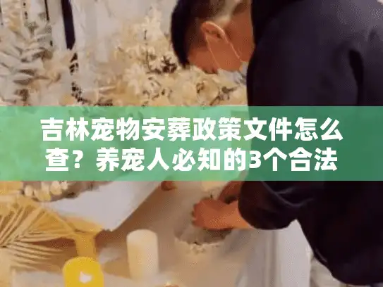 吉林宠物安葬政策文件怎么查？养宠人必知的3个合法路径+1个避坑案例