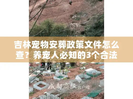 吉林宠物安葬政策文件怎么查？养宠人必知的3个合法路径+1个避坑案例