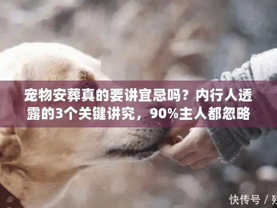 宠物安葬真的要讲宜忌吗？内行人透露的3个关键讲究，90%主人都忽略了