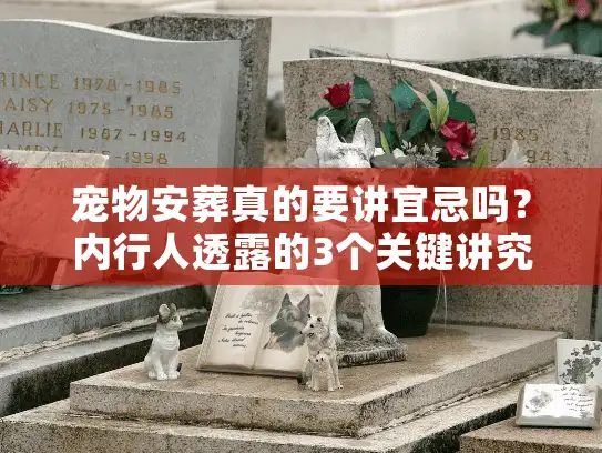宠物安葬真的要讲宜忌吗？内行人透露的3个关键讲究，90%主人都忽略了