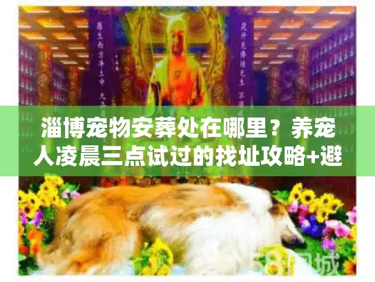 淄博宠物安葬处在哪里？养宠人凌晨三点试过的找址攻略+避坑清单
