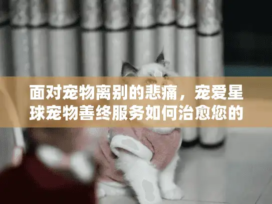 面对宠物离别的悲痛，宠爱星球宠物善终服务如何治愈您的心灵？