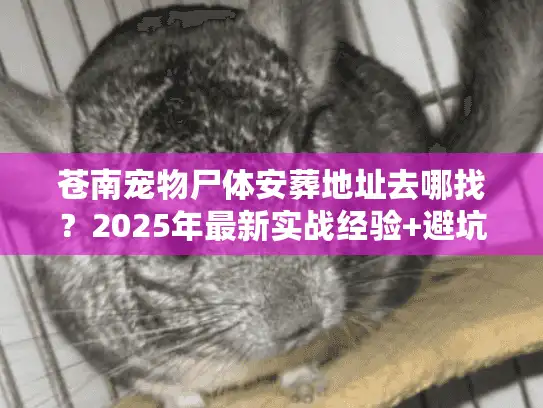 苍南宠物尸体安葬地址去哪找？2025年最新实战经验+避坑指南