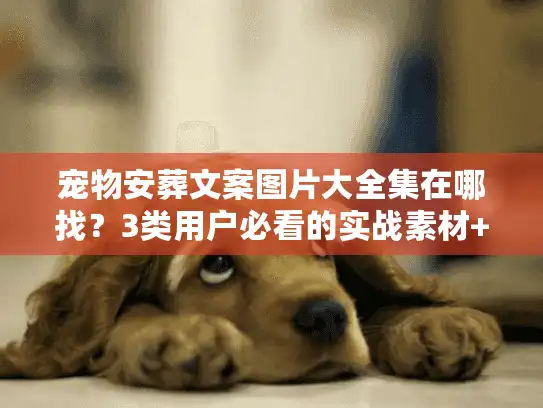 宠物安葬文案图片大全集在哪找？3类用户必看的实战素材+避坑技巧