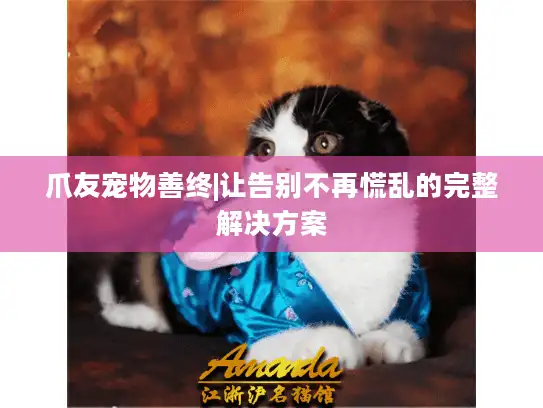 爪友宠物善终|让告别不再慌乱的完整解决方案