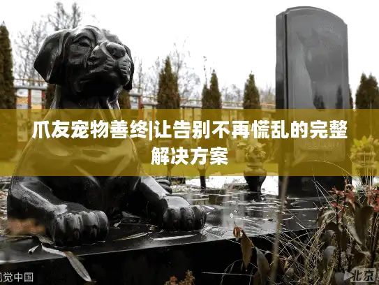 爪友宠物善终|让告别不再慌乱的完整解决方案