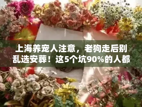 上海养宠人注意，老狗走后别乱选安葬！这5个坑90%的人都踩过
