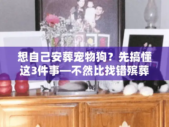 想自己安葬宠物狗？先搞懂这3件事—不然比找错殡葬服务更后悔