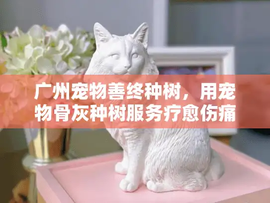 广州宠物善终种树，用宠物骨灰种树服务疗愈伤痛