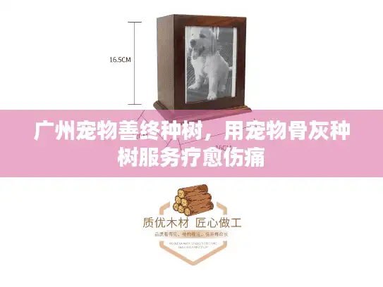 广州宠物善终种树，用宠物骨灰种树服务疗愈伤痛