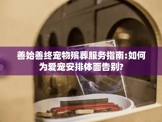 善始善终宠物殡葬服务指南:如何为爱宠安排体面告别?