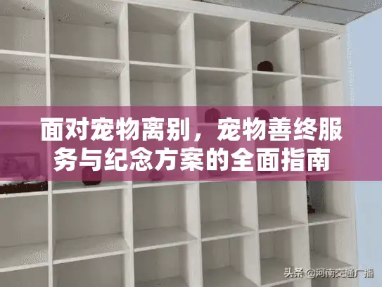 面对宠物离别，宠物善终服务与纪念方案的全面指南