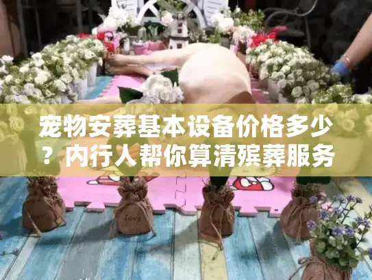 宠物安葬基本设备价格多少？内行人帮你算清殡葬服务里的隐形成本