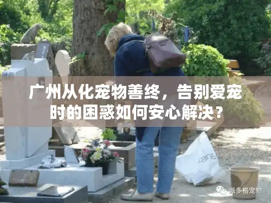 广州从化宠物善终，告别爱宠时的困惑如何安心解决？