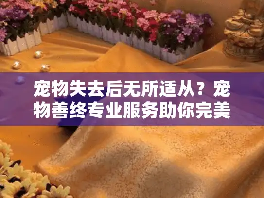 宠物失去后无所适从？宠物善终专业服务助你完美告别