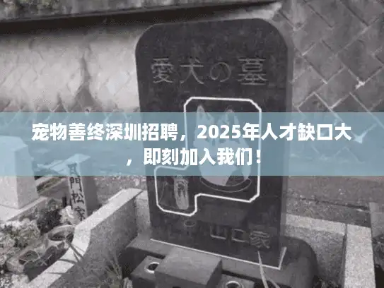 宠物善终深圳招聘，2025年人才缺口大，即刻加入我们！