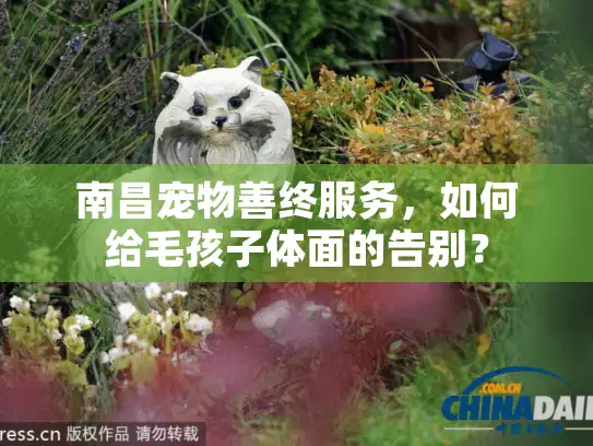 南昌宠物善终服务，如何给毛孩子体面的告别？