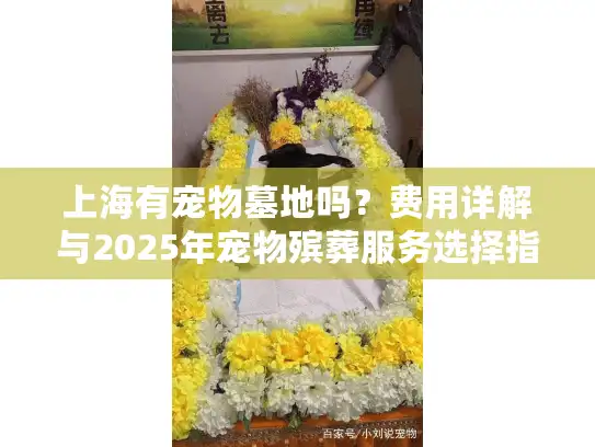 上海有宠物墓地吗？费用详解与2025年宠物殡葬服务选择指南