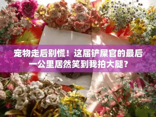 宠物走后别慌！这届铲屎官的最后一公里居然笑到我拍大腿？