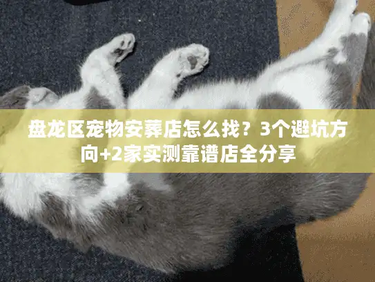 盘龙区宠物安葬店怎么找？3个避坑方向+2家实测靠谱店全分享