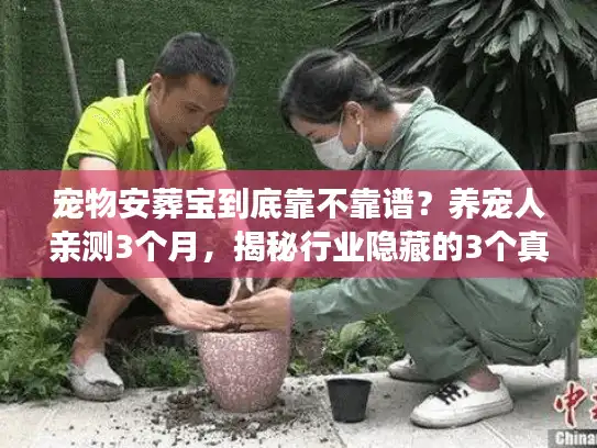 宠物安葬宝到底靠不靠谱？养宠人亲测3个月，揭秘行业隐藏的3个真相