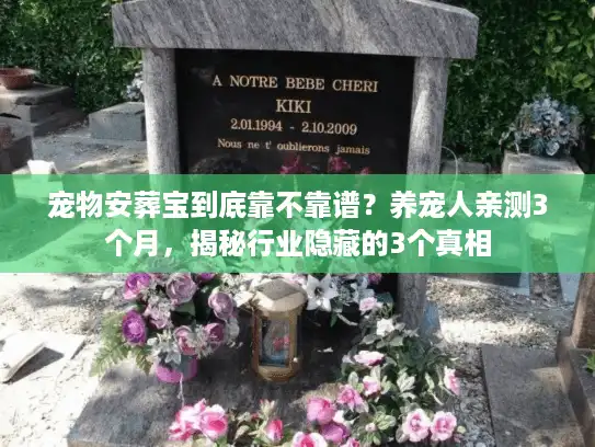 宠物安葬宝到底靠不靠谱？养宠人亲测3个月，揭秘行业隐藏的3个真相