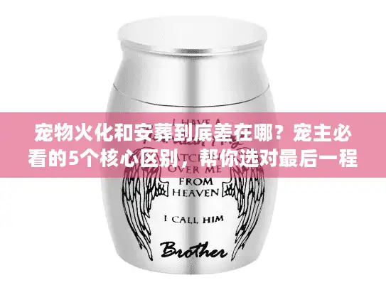 宠物火化和安葬到底差在哪？宠主必看的5个核心区别，帮你选对最后一程