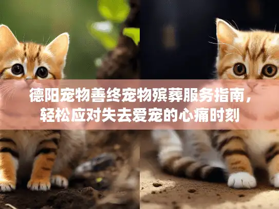 德阳宠物善终宠物殡葬服务指南，轻松应对失去爱宠的心痛时刻