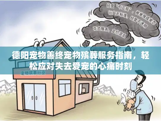 德阳宠物善终宠物殡葬服务指南，轻松应对失去爱宠的心痛时刻