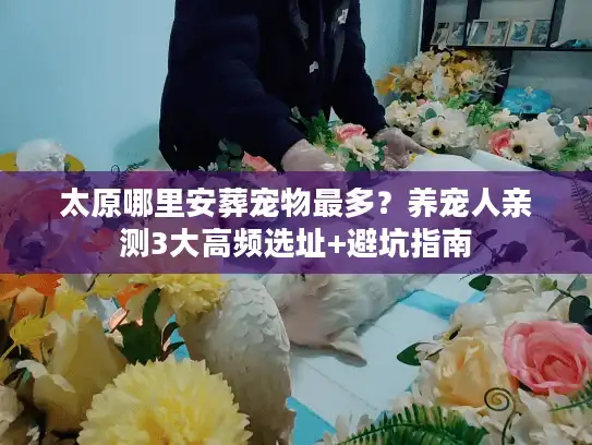 太原哪里安葬宠物最多？养宠人亲测3大高频选址+避坑指南