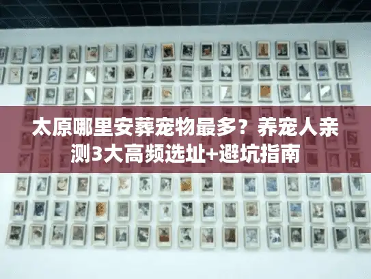 太原哪里安葬宠物最多？养宠人亲测3大高频选址+避坑指南