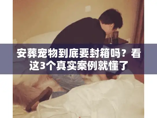 安葬宠物到底要封箱吗？看这3个真实案例就懂了