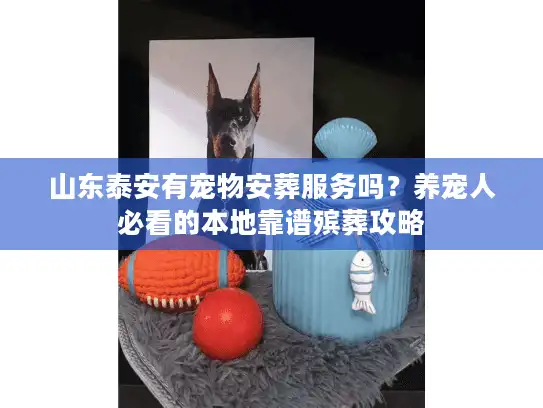 山东泰安有宠物安葬服务吗？养宠人必看的本地靠谱殡葬攻略