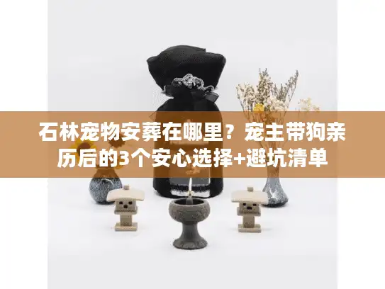 石林宠物安葬在哪里？宠主带狗亲历后的3个安心选择+避坑清单