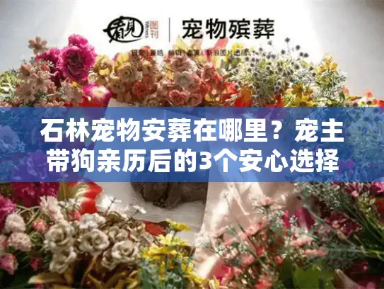 石林宠物安葬在哪里？宠主带狗亲历后的3个安心选择+避坑清单