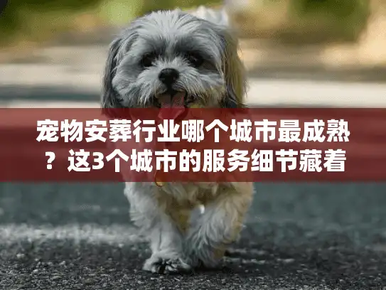 宠物安葬行业哪个城市最成熟？这3个城市的服务细节藏着你要的答案
